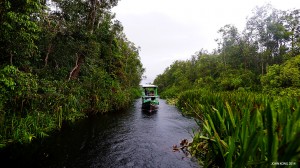 Trans Borneo Expedition 2014     